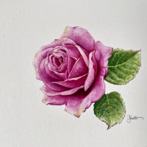 水彩画 のおすすめ作品・人気作家 水彩画 rose バラ 水彩 A Pink English Rose インテリア絵画 アート