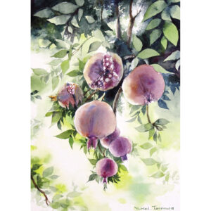 水彩画 のおすすめ作品・人気作家 イラスト 光 森 水彩画 緑 自然 アート ザクロ フルーツ 原画 果物 水彩 絵画 風景画 柘榴 インテリア絵画 アート