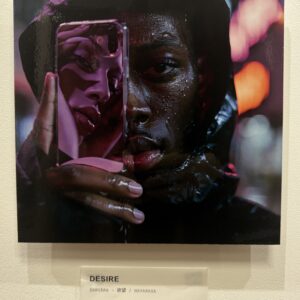 その他 AI AIアート DESIRE インテリア絵画 アート