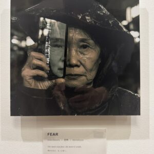 その他 AI AIアート FEAR インテリア絵画 アート