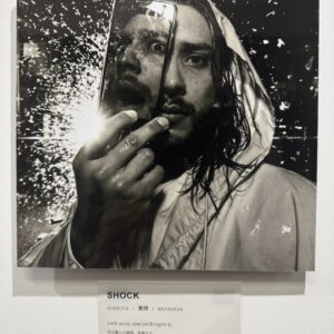 その他 AI AIアート SHOCK インテリア絵画 アート