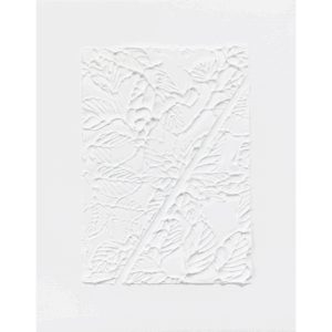 絵画 のおすすめ作品・人気作家 抽象画 植物 白 インテリア ボタニカル ボタニカルアート モダン 印象派 植物画 現代アート 静かな気配(W20260622.2) インテリア絵画 アート