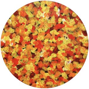 アクリル画 のおすすめ作品・人気作家 抽象 丸型キャンバス 円 模様 SQUASH (Red) インテリア絵画 アート