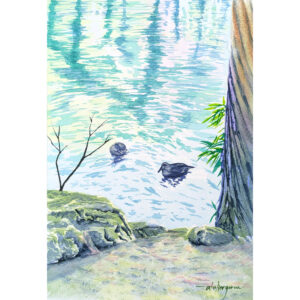 水彩画 のおすすめ作品・人気作家 自然 カモ 原画 反射 景色 水彩 水面 池 絵画 風景 風景画 番い（額付） インテリア絵画 アート