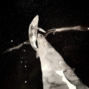 絵画 のおすすめ作品・人気作家 モノクロ 宇宙 海 クジラ シンプル 命 墨 永遠 親子 クジラ 円環 インテリア絵画 アート