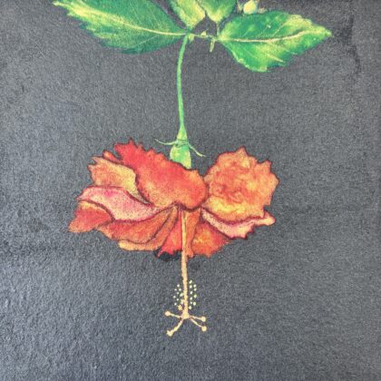日本画 のおすすめ作品・人気作家 花 宮古島 日本画 沖縄 夜のハイビスカス インテリア絵画 アート