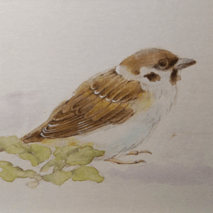 水彩画 のおすすめ作品・人気作家 動物 鳥 水彩 色鉛筆 青 autumn colors インテリア絵画 アート